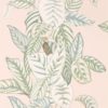 Calathea 216632